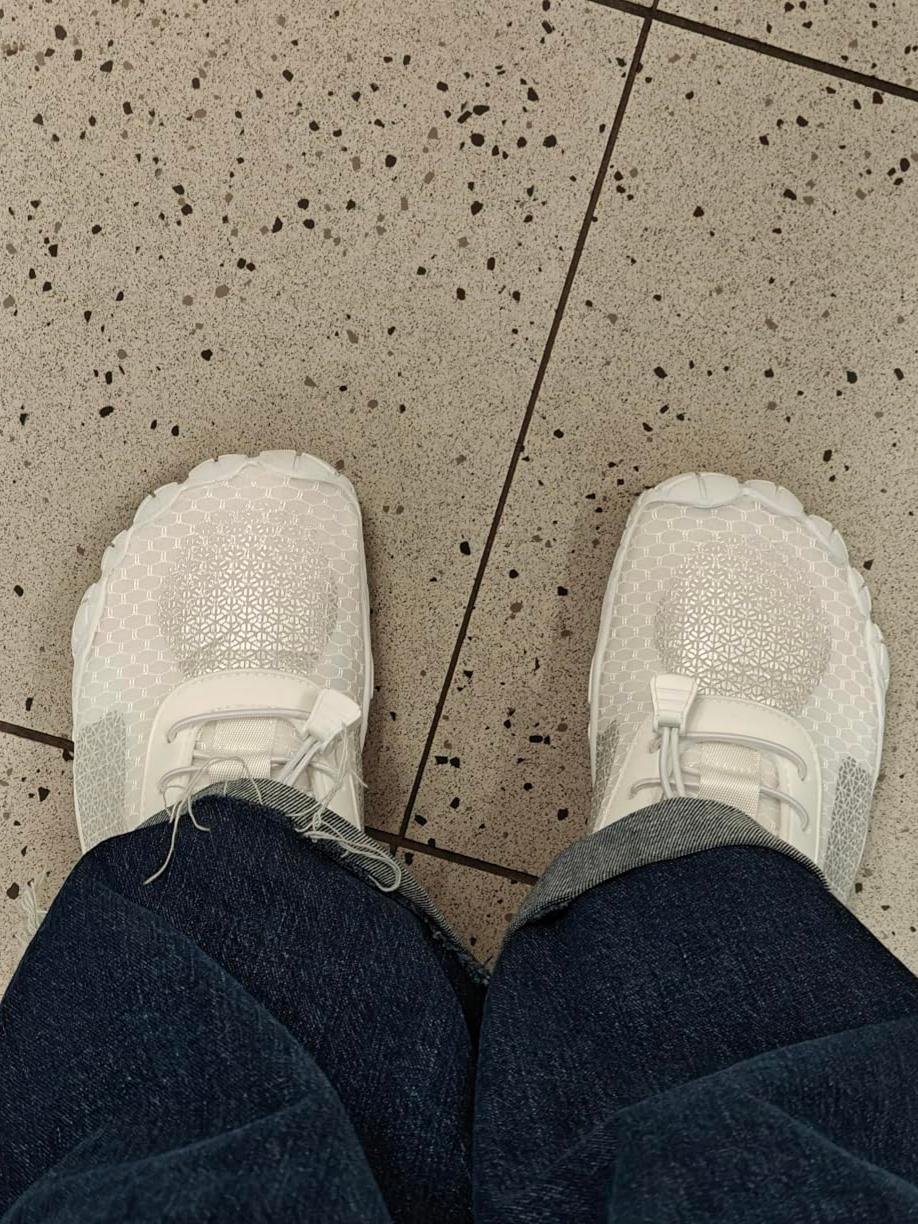 Describes the appearance of the image